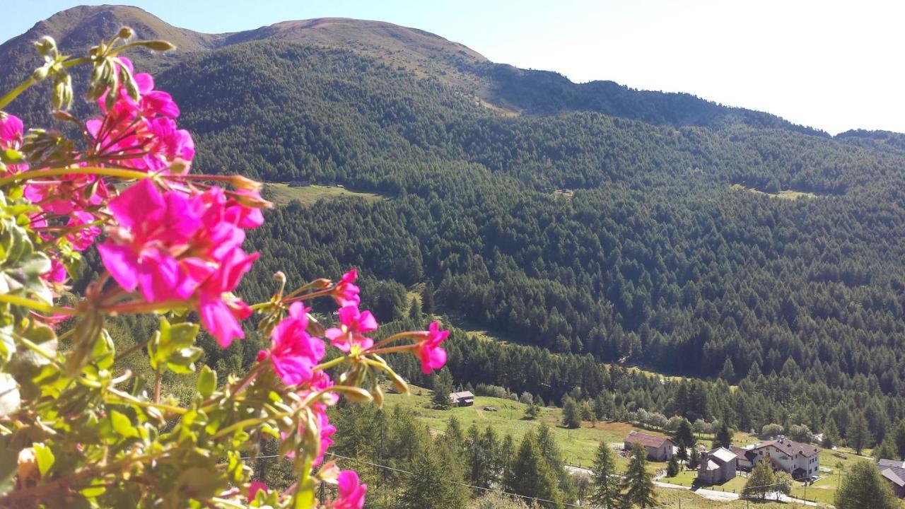 Belvedere Mountain Experience Hotel Monno Bagian luar foto