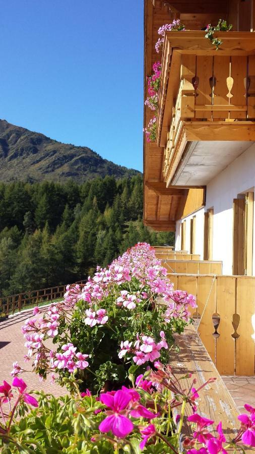 Belvedere Mountain Experience Hotel Monno Bagian luar foto
